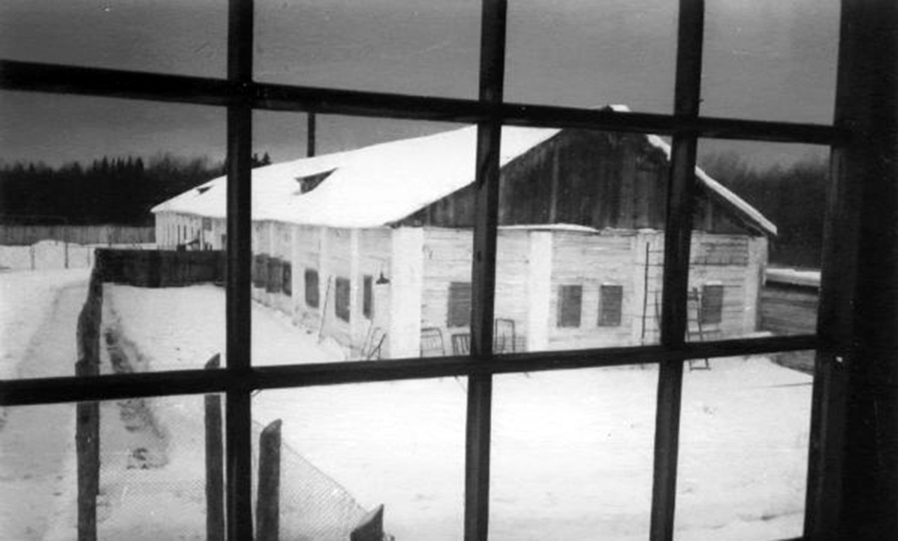 Barak w łagrze w Kuczyno, gdzie Wasy Stus spędził ostatnie lata swojego życie. Fot.: Wikipedia