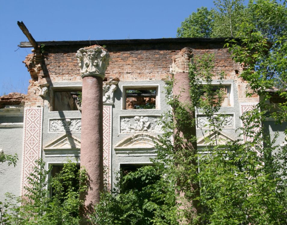 Zniszczony pałac Krasowskich w Biłyczynie. Źródło - mediabar.lab-design-sites.com