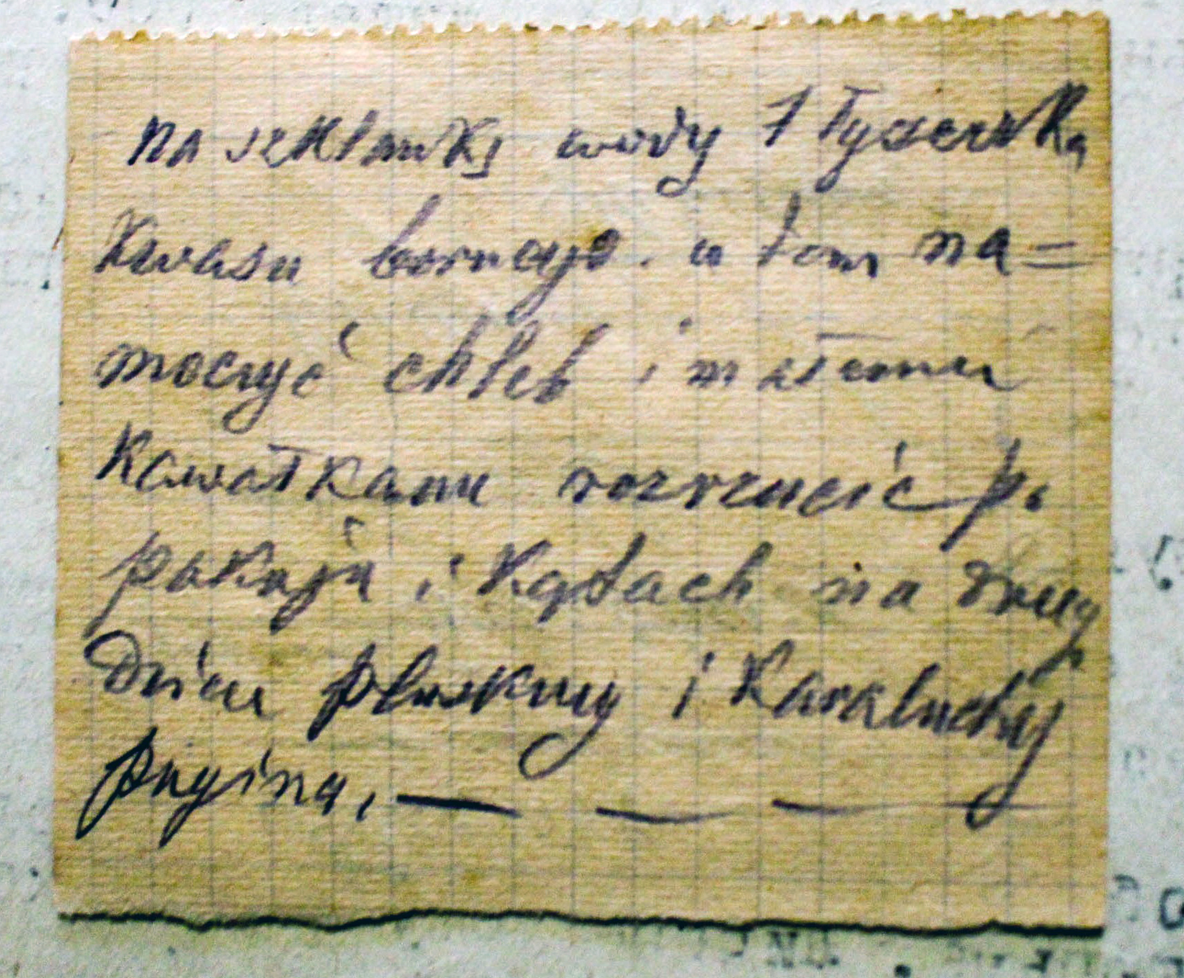 Instrukcja w języku polskim o pozbyciu się karaluchów w domu, którą bolszewicy uznali za dowód w sprawie Prolińskiego