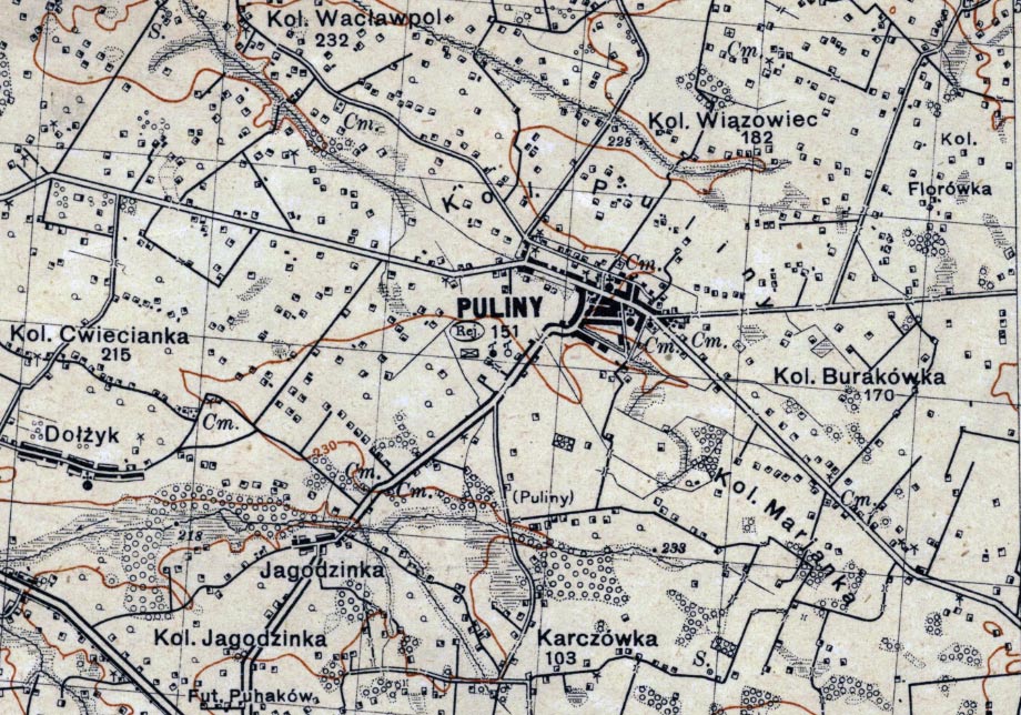 Mapa z 1931 roku z zaznaczonymi Pulinami